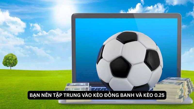 Bạn nên tập trung vào kèo đồng banh và kèo 0.25