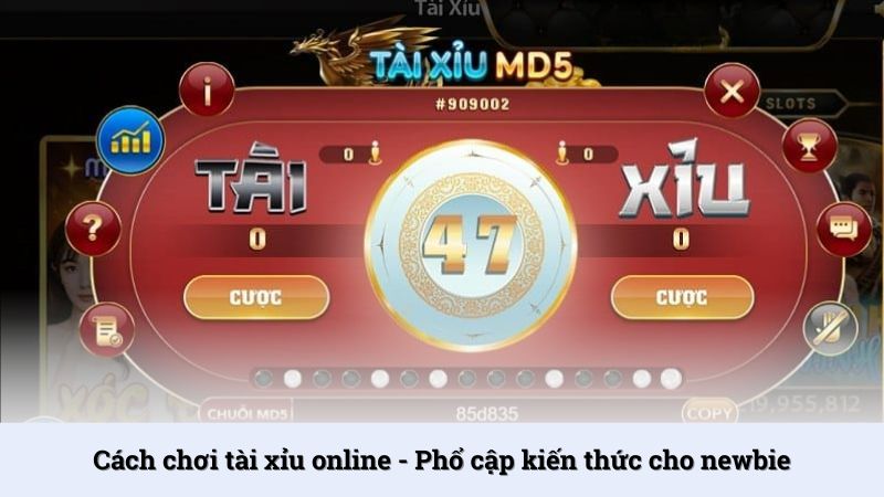 Cách chơi Tài Xỉu online - Phổ cập kiến thức cho newbie