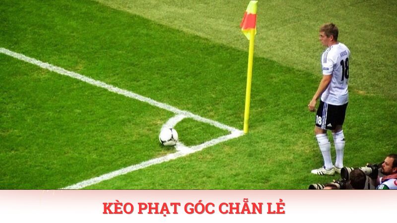 Cách đọc kèo phạt góc chẵn lẻ rất đơn giản.