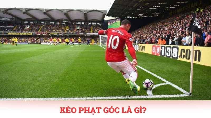 Người chơi muốn biết cách đọc kèo phạt góc chuẩn cần nắm bắt những kiến thức cơ bản.