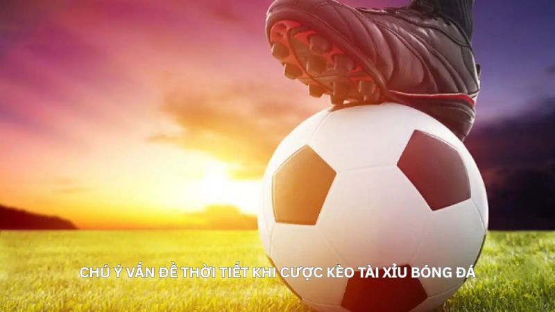 Chú ý yếu tố thời tiết khi cược kèo tài xỉu bóng đá