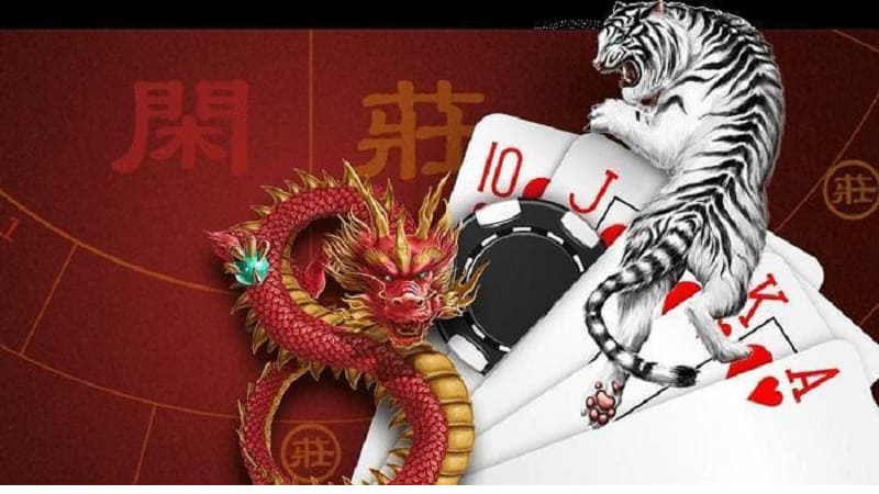 Một số kinh nghiệm chơi Rồng Hổ online chắc ăn từ cao thủ