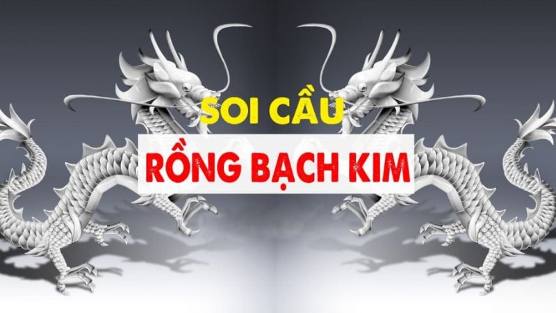Nguyên tắc hoạt động dễ hiểu của soi cầu rồng bạch kim