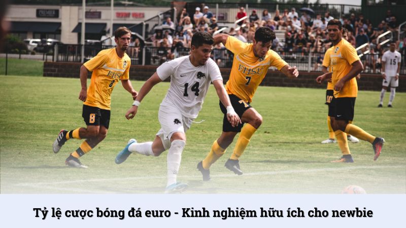 Tỷ lệ cược bóng đá Euro - Kinh nghiệm hữu ích cho newbie